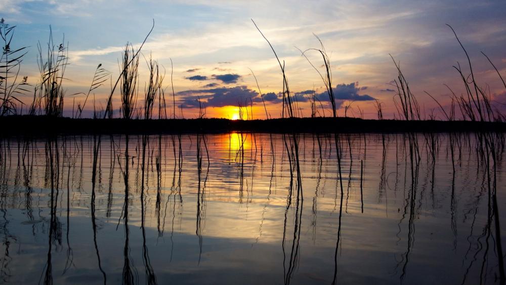 Serene Sunset Over Tranquil Waters wallpaper