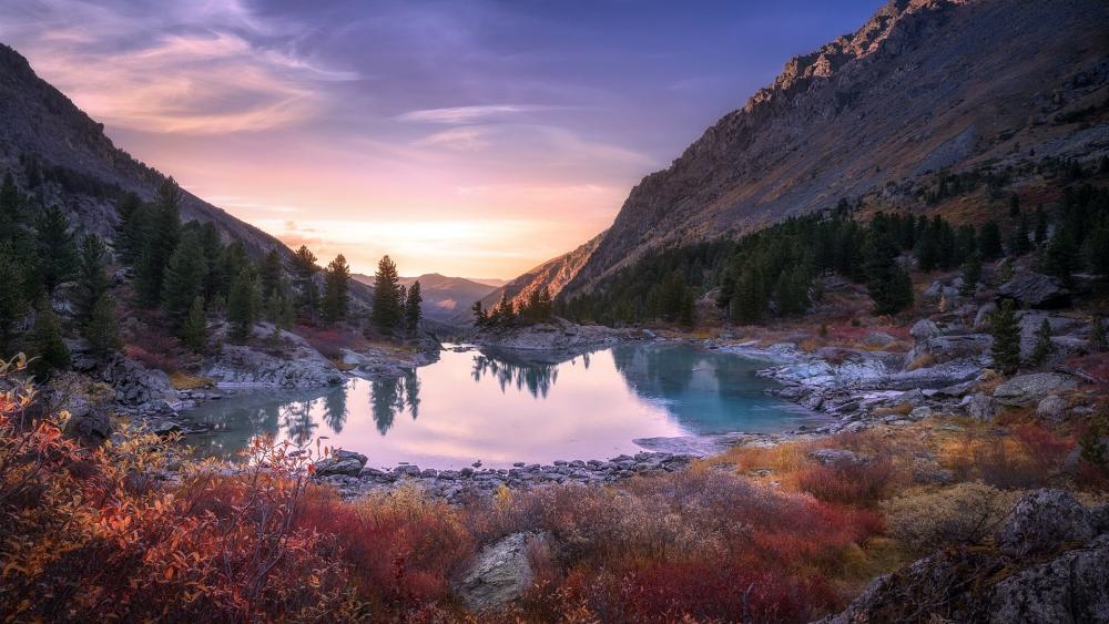 Serenity in Nature's Embrace wallpaper