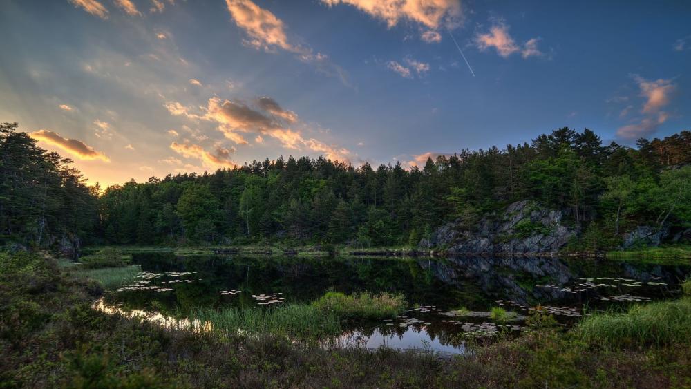 Tranquil Reflections on a Serene Lake wallpaper