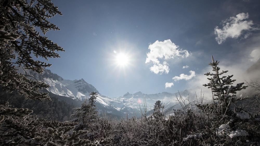 Majestic Winter Landscape Under Bright Sunlight wallpaper