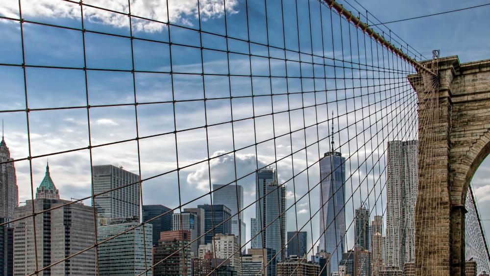 Bridging Nature and Urban Life wallpaper