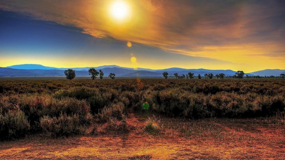 Golden Horizon at Sunset wallpaper