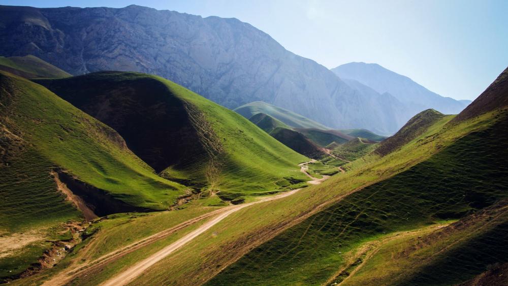 Wallpaper from nature category