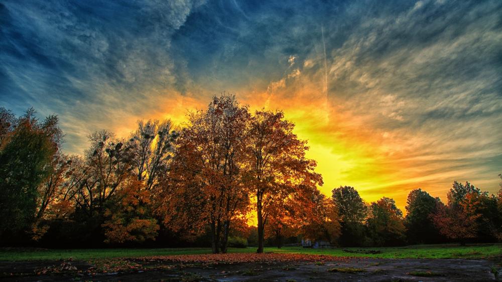 Vibrant Autumn Sunset Over Serene Landscape wallpaper