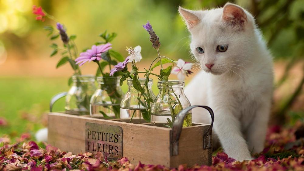Charming Cat Among Blossoms and Glass Bottles wallpaper