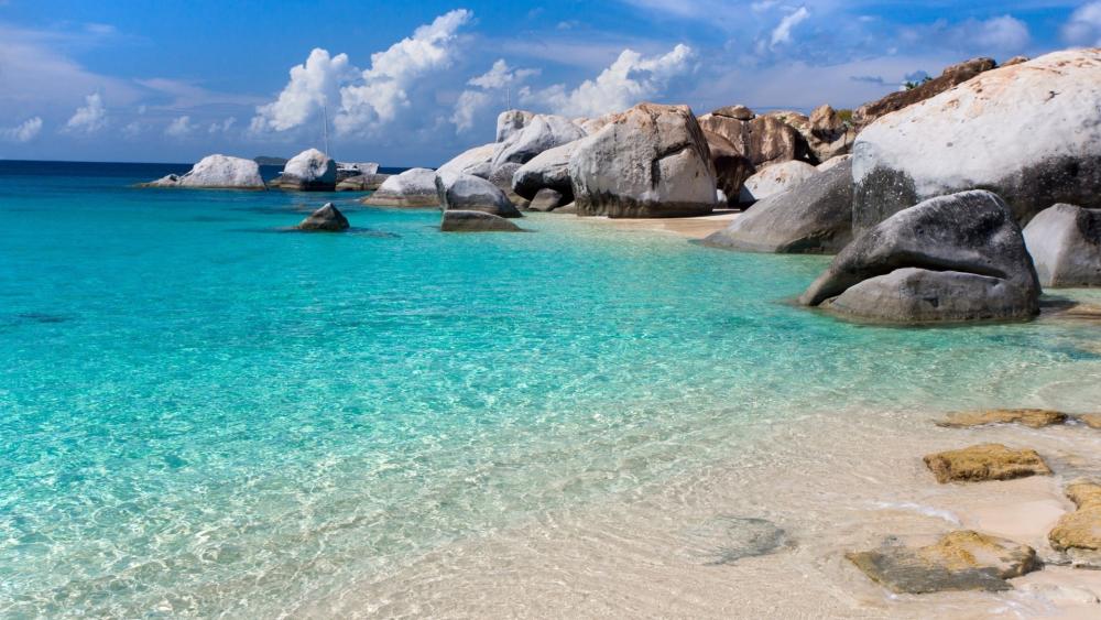 Serene Tropical Paradise by the Shore wallpaper