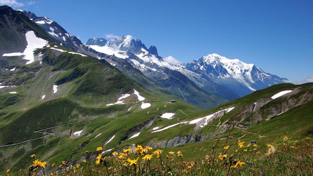 Wallpaper from nature category