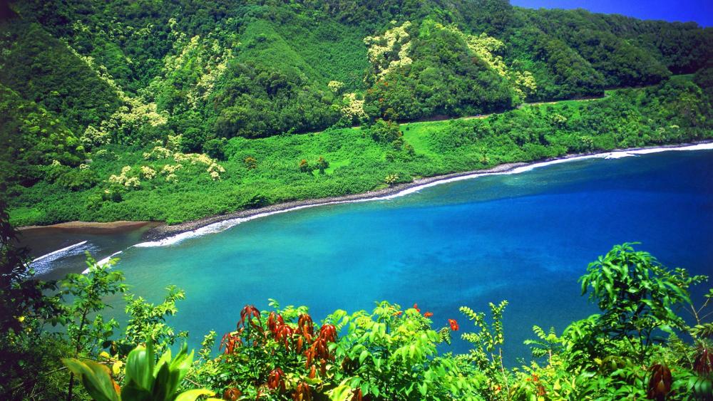Serene Coastal Landscape with Lush Greenery and Crystal Blue Waters wallpaper