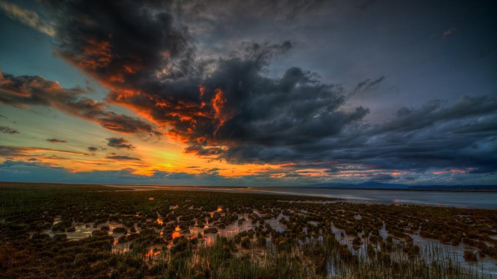 Vibrant Sunset Over Tranquil Marshlands wallpaper