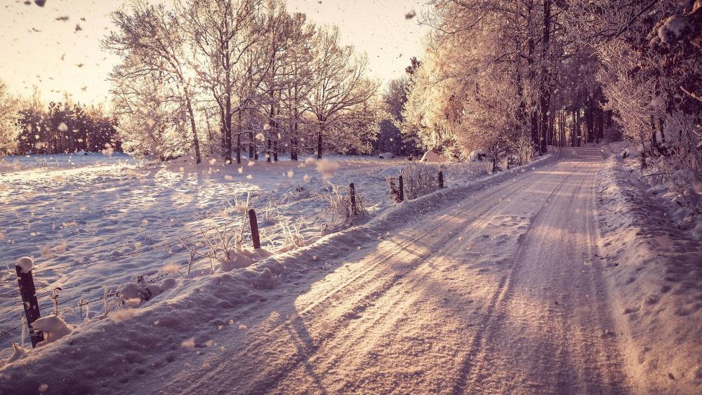 Winter Wonderland Roadway Experience Frosty Beauty in Nature's Embrace wallpaper