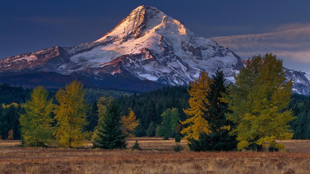 Majestic Mountain Serenity in Nature wallpaper