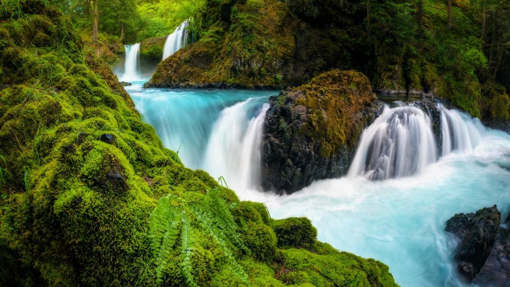 Serene Waterfalls Surrounded by Lush Greenery wallpaper