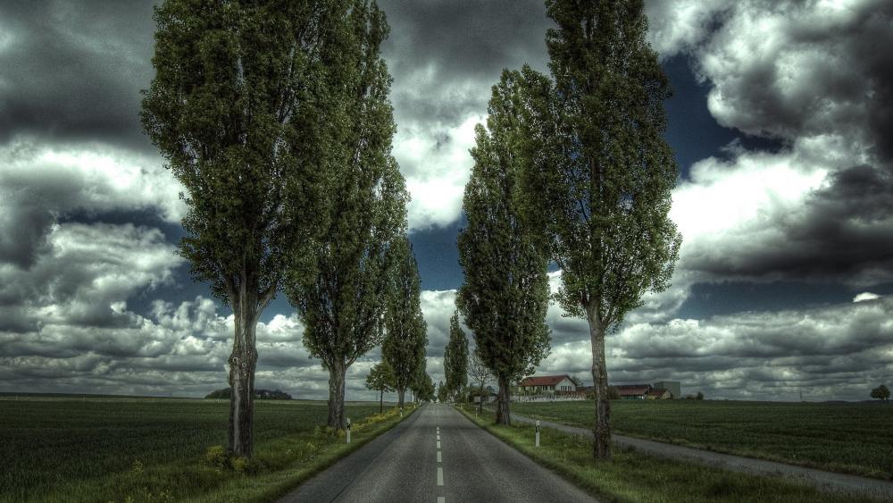 Wallpaper from nature category