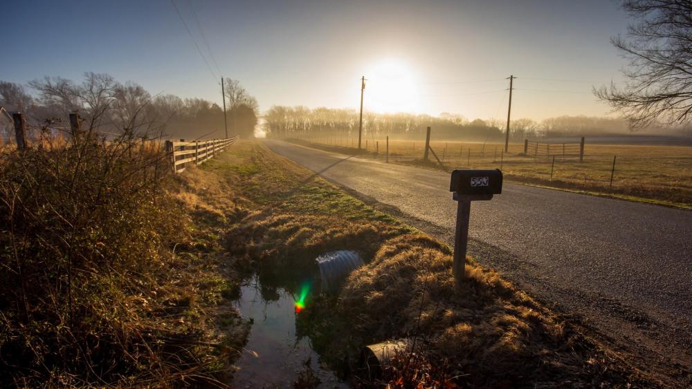 Serene Morning Landscape with Misty Roadway and Sunlight wallpaper