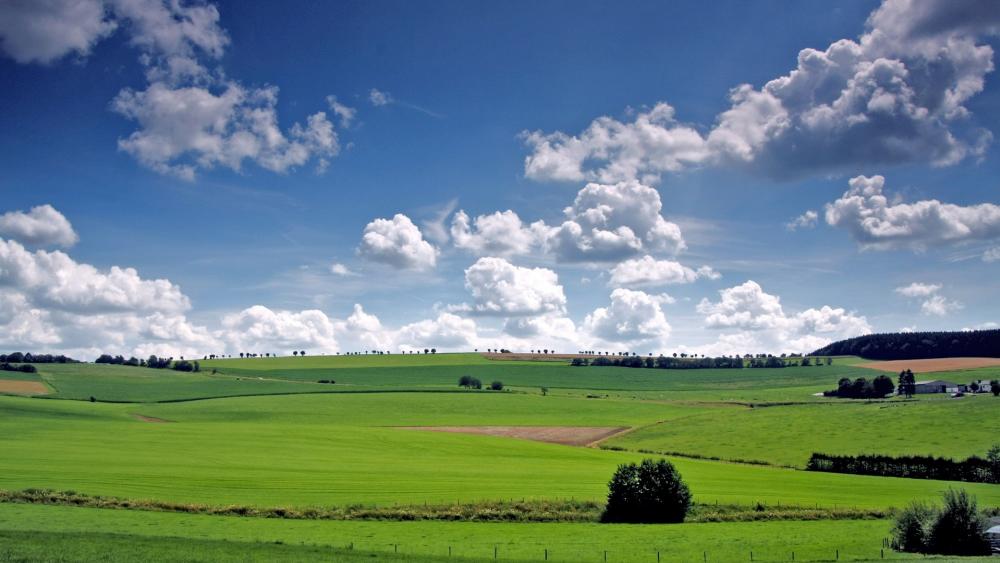 Vast Green Fields Under a Beautiful Sky wallpaper