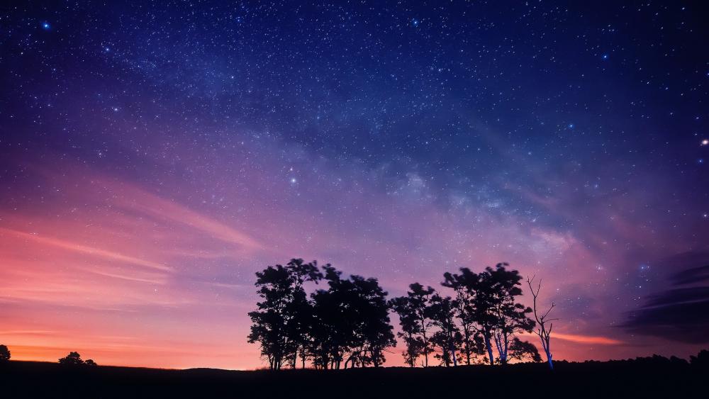 Wallpaper from nature category