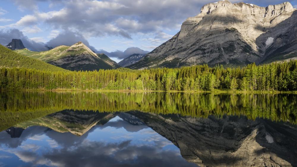 Wallpaper from nature category