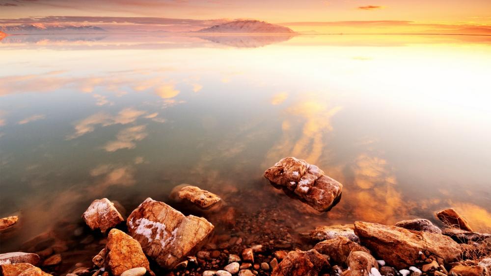 Wallpaper from nature category