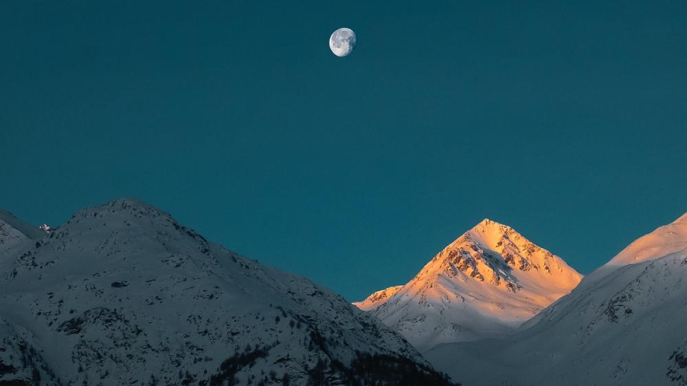 Wallpaper from nature category