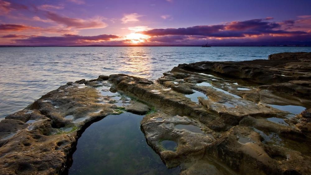 Wallpaper from nature category