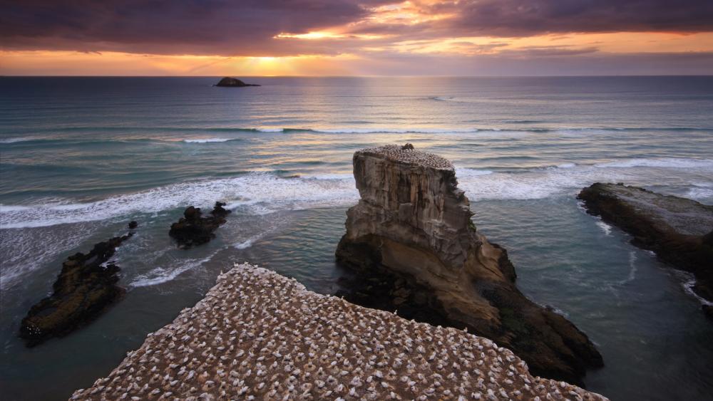 Wallpaper from nature category