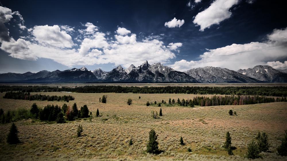 Wallpaper from nature category