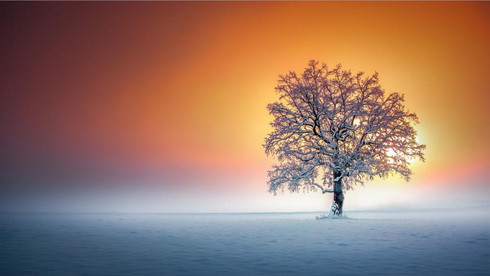 Winter Serenity in Nature's Embrace wallpaper