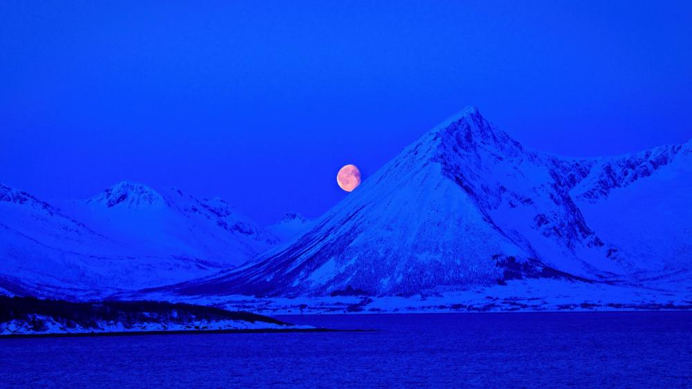 Wallpaper from nature category