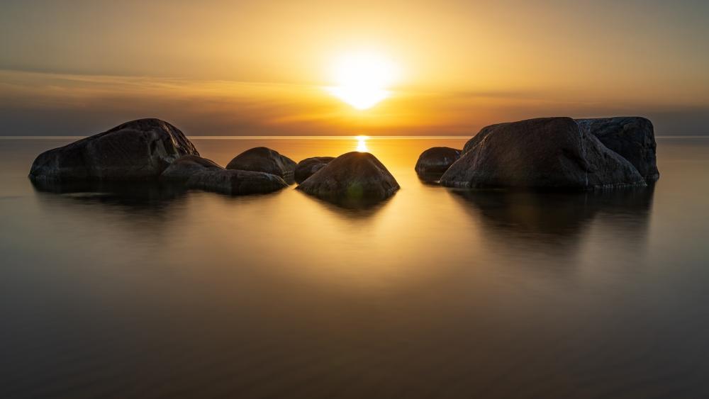 Wallpaper from nature category