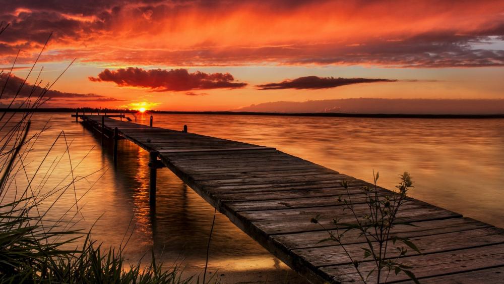 Vibrant Sunset Over Serene Waters wallpaper
