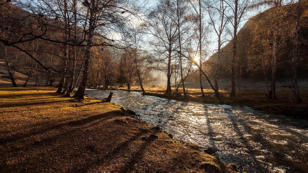 Serene River with Sunlit Trees wallpaper