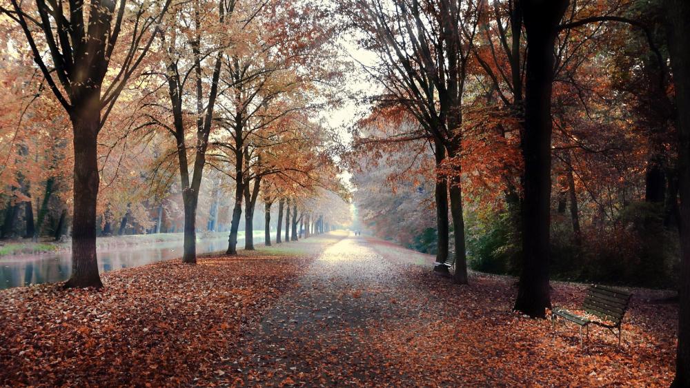 Autumn Serenity in a Quiet Park Scene wallpaper