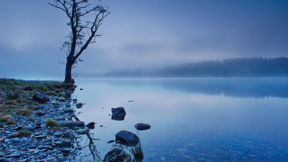 Wallpaper from nature category