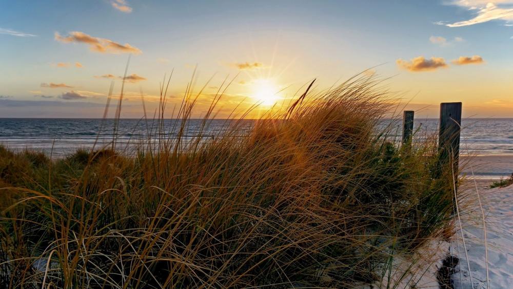 Serene Sunset at the Beach wallpaper