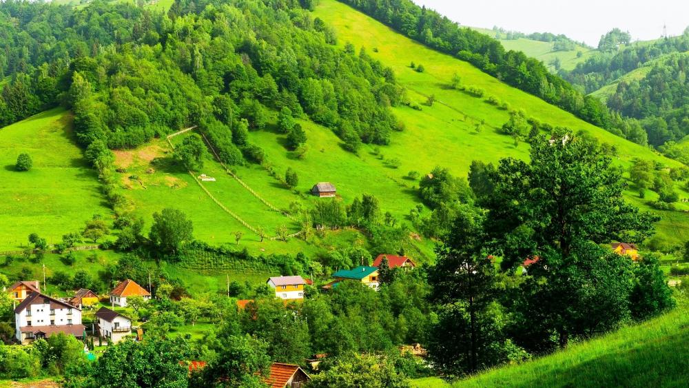 Lush Green Hillside Village Scene wallpaper