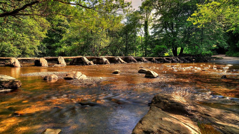 Wallpaper from nature category