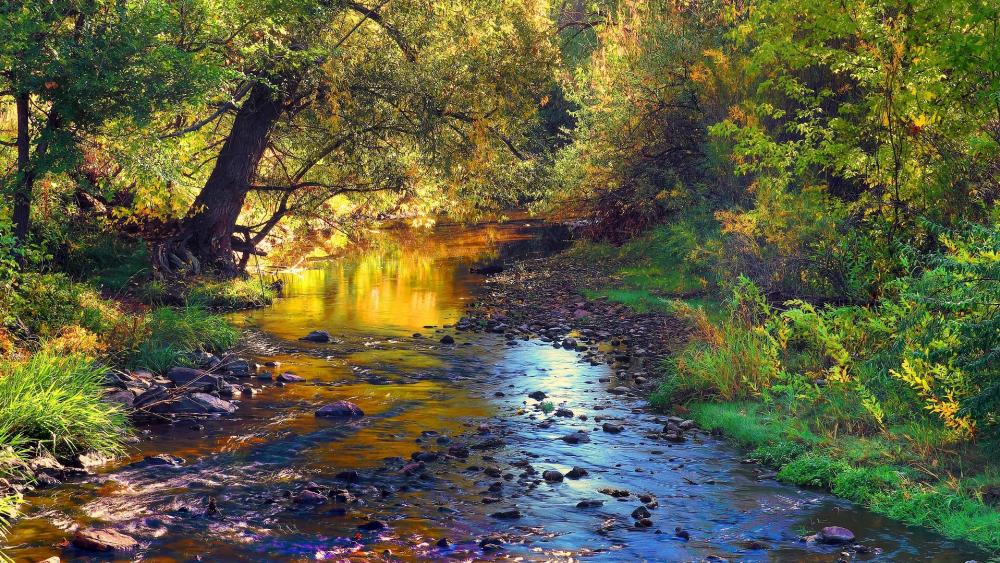 Wallpaper from nature category