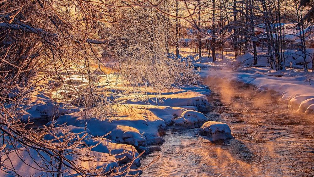 Serene Winter Morning by the River wallpaper