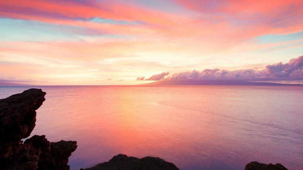 Wallpaper from nature category