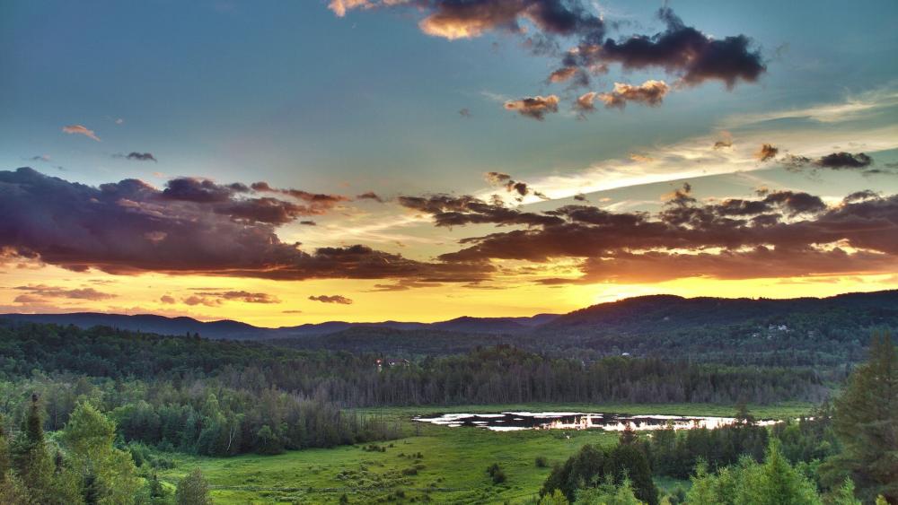 Wallpaper from nature category