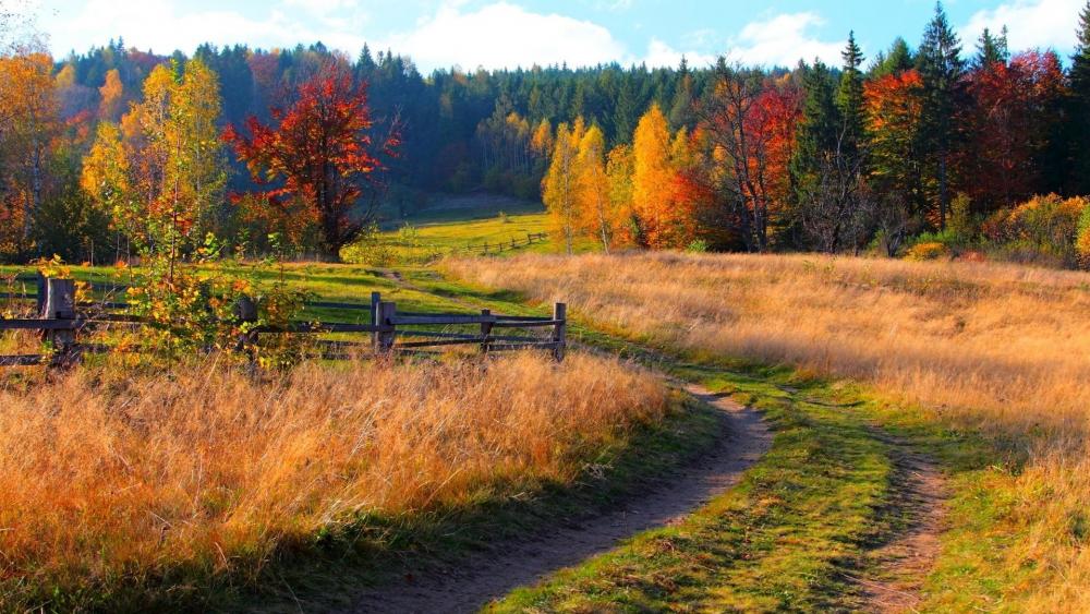 Autumn Bliss in a Serene Landscape wallpaper