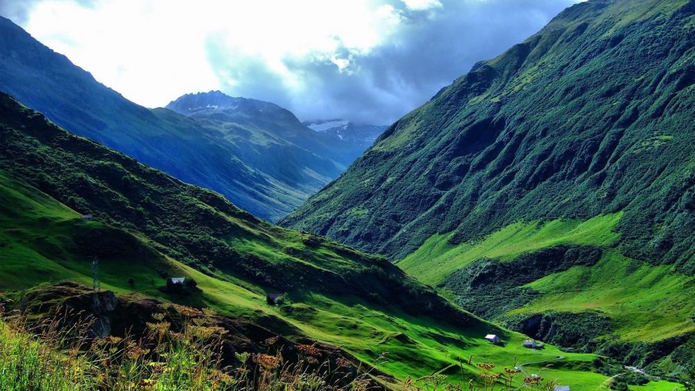 Majestic Green Valley Surrounded by Mountains wallpaper