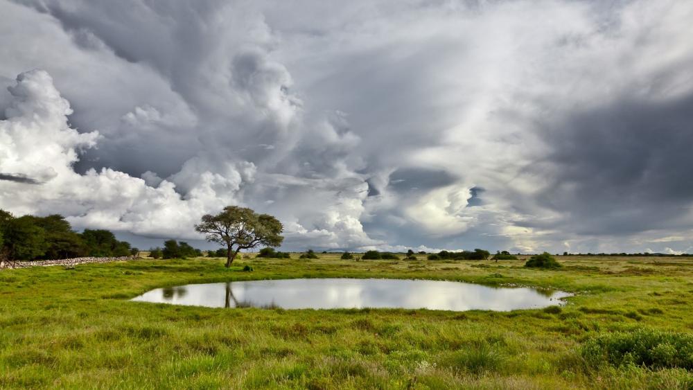 Serene Reflection in Nature's Embrace wallpaper