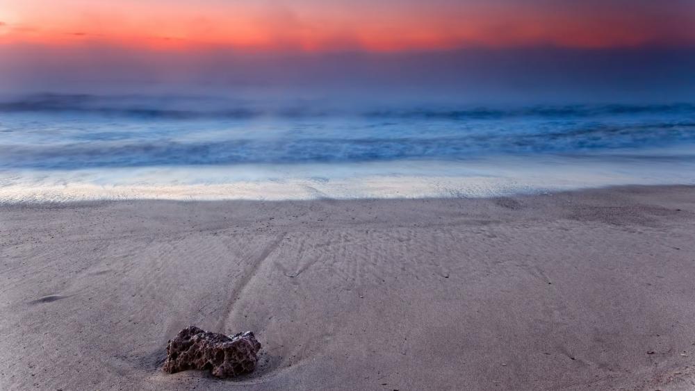 Wallpaper from nature category