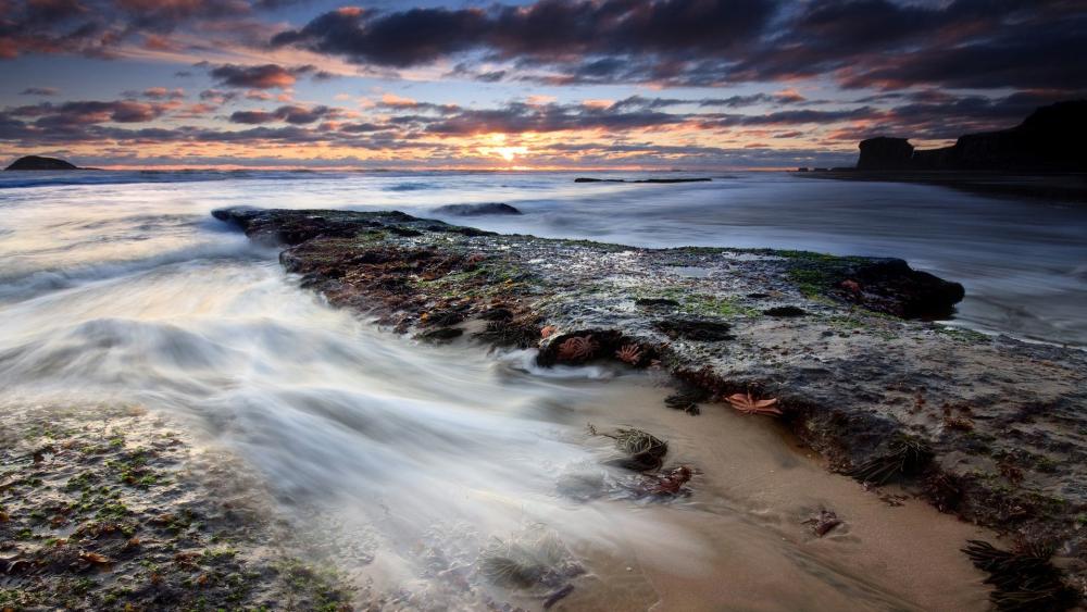 Serene Coastal Sunset Reflection wallpaper