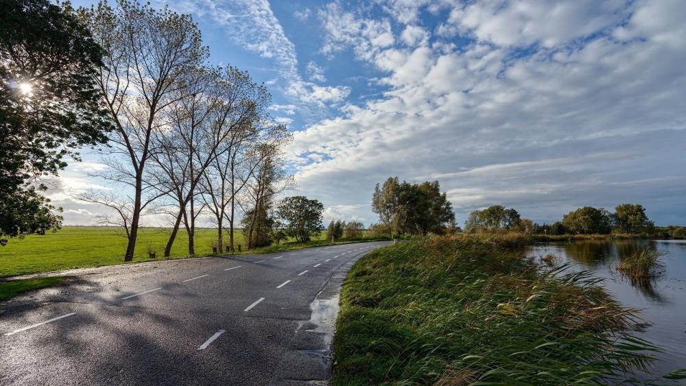 Serene Roadside Nature Scene wallpaper