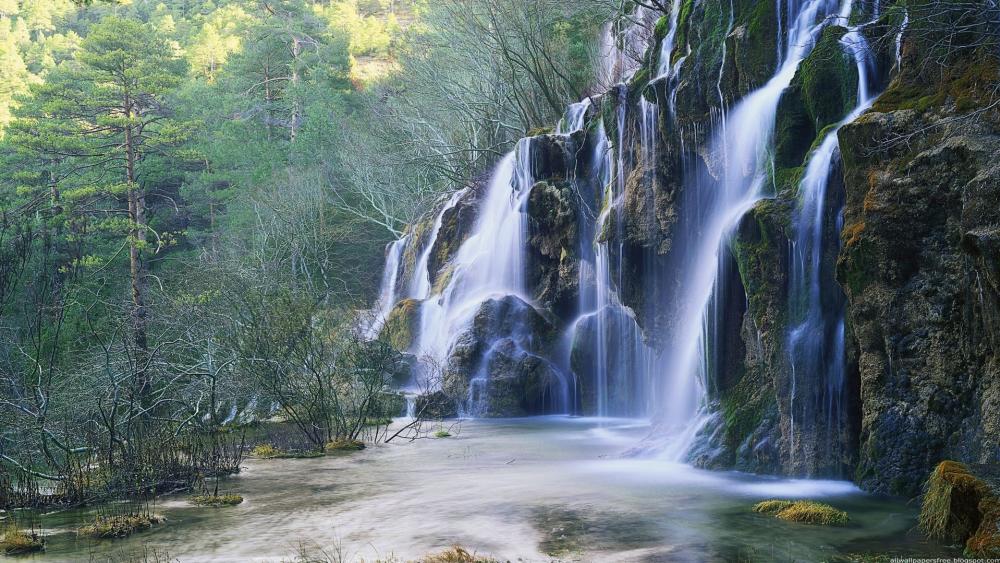 Serene Waterfall Amidst Lush Greenery wallpaper