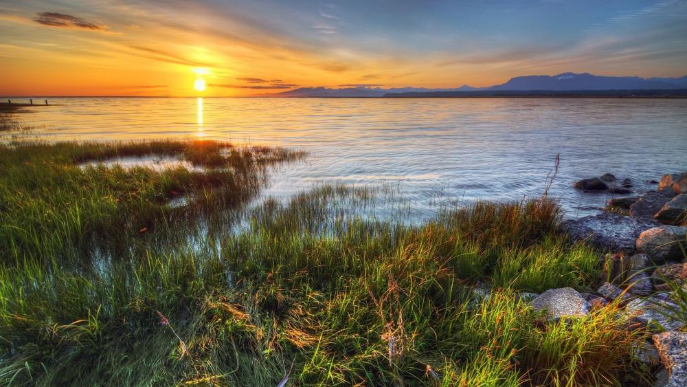 Wallpaper from nature category