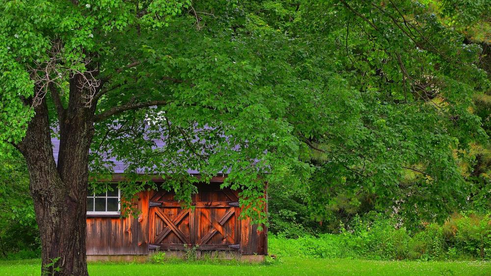 Serene Hideaway Among Lush Greenery wallpaper