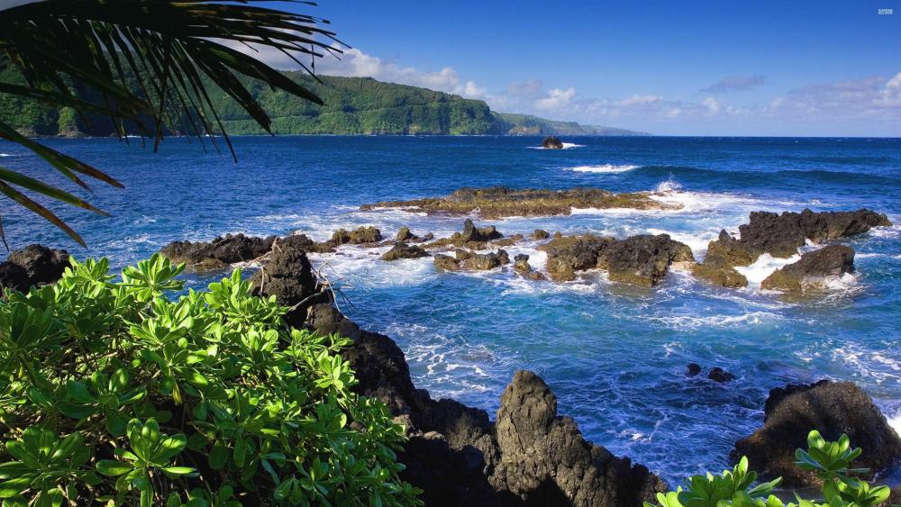 Serene Ocean View with Lush Greenery wallpaper